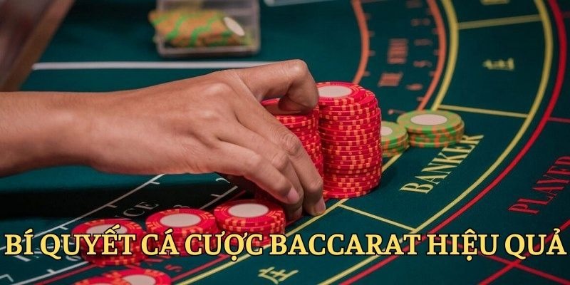 Có bí quyết giúp nâng cao tỷ lệ cá cược hiệu quả cùng Baccarat